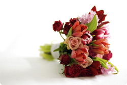 Send A Free Funeral Notice